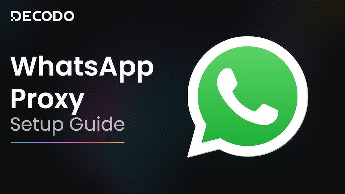 最强大的WhatsApp数据筛选工具,如何识别WhatsApp上的活跃用户